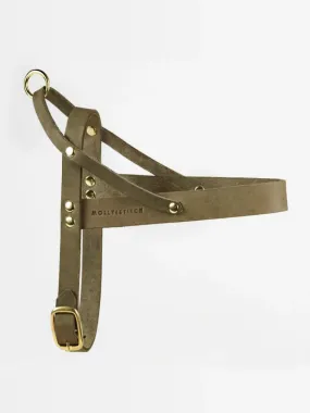 [OLIVE TREE] BUTTER LEATHER DOG HARNESS